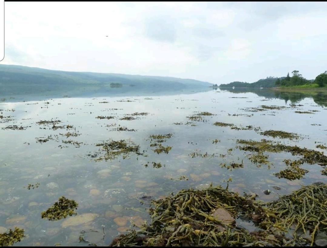 Quirky Lochside Home Inveraray Eksteriør bilde